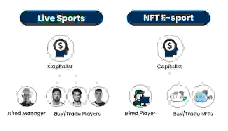 Структуры Live Sports и NFT E-sport