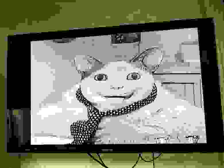 Ещё кот Ещё кот