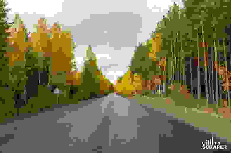 Осень Осень