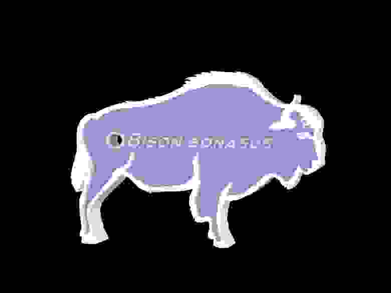 Bison Bonasus - биологический вид, латинское название зубра.