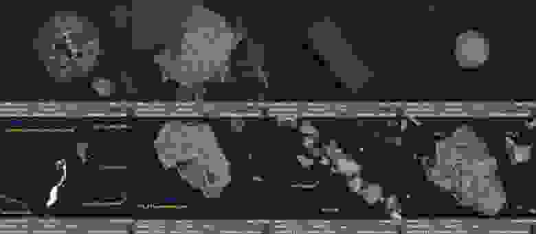 Коллаж из изображений частиц лунной пыли, представленный Bonhams
