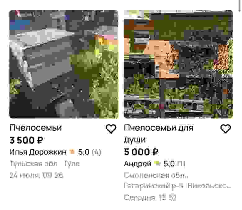 Взять пчелосемью сегодня можно хоть на Авито Взять пчелосемью сегодня можно хоть на Авито
