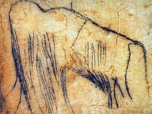 Рисунок мамонта в пещере Пеш-Мерле, в Центральной Франции.