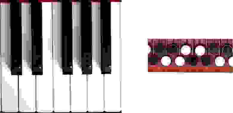 Рисунок 2. Сравнение размеров 12 клавиш фортепьяно и аккордеона