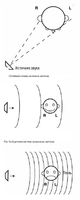 Иллюстрации из книги.