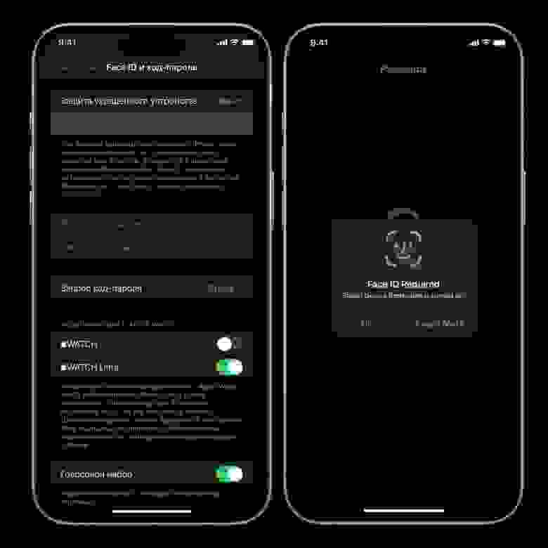 При активации в Настройках она запросит отсканировать Face ID и далее по пунктам активировать все необходимые настройки.