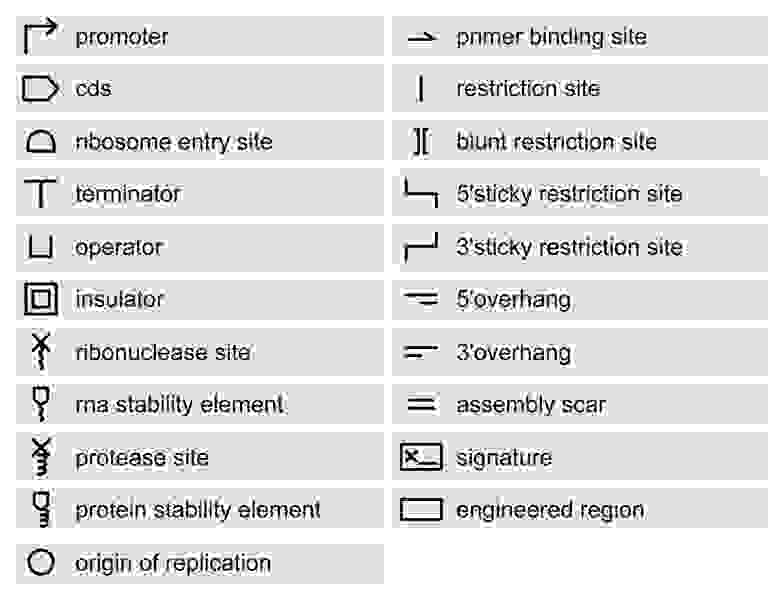 Таблица стандартизированных символов BioBricks. Они обозначают функции различных фрагментов ДНК, используемых в синтетической биологии для сборки биосистем  