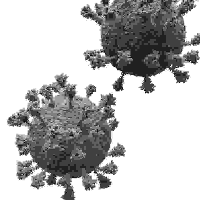 11. Две полноатомные копии вируса SARS-CoV-2