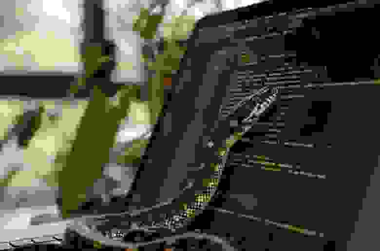 Бесплатные курсы и книги Python 2024