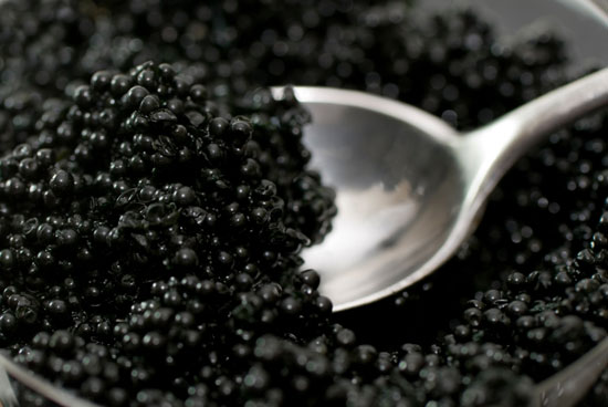 caviar black