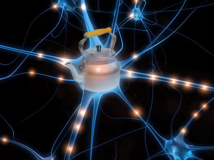 Что такое нейросеть или как общаться с помощью мозга
