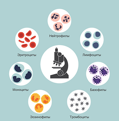 Клетки крови — Википедия