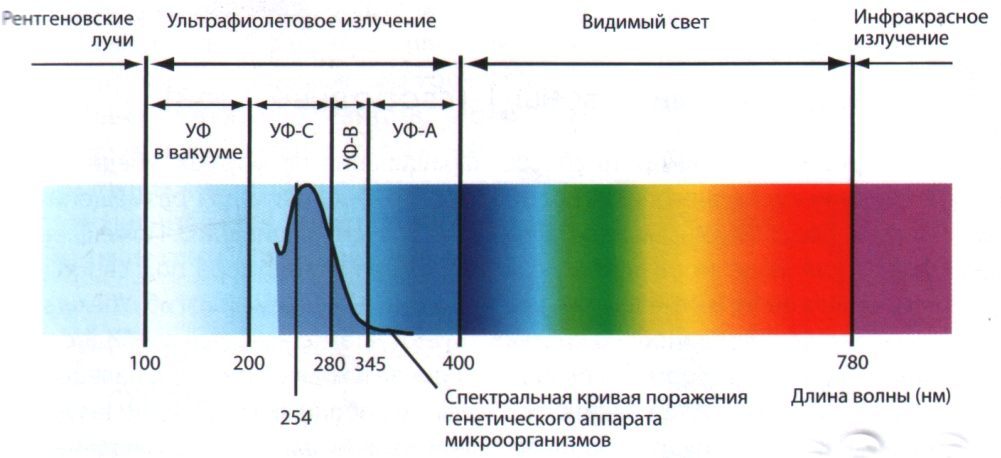 Курсовая работа: Световое излучение в ультрафиолетовой, видимой и инфракрасной областях спектра