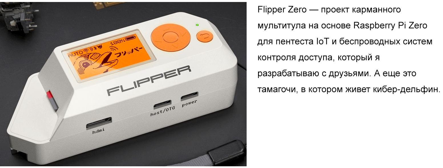 Flipper zero unleashed