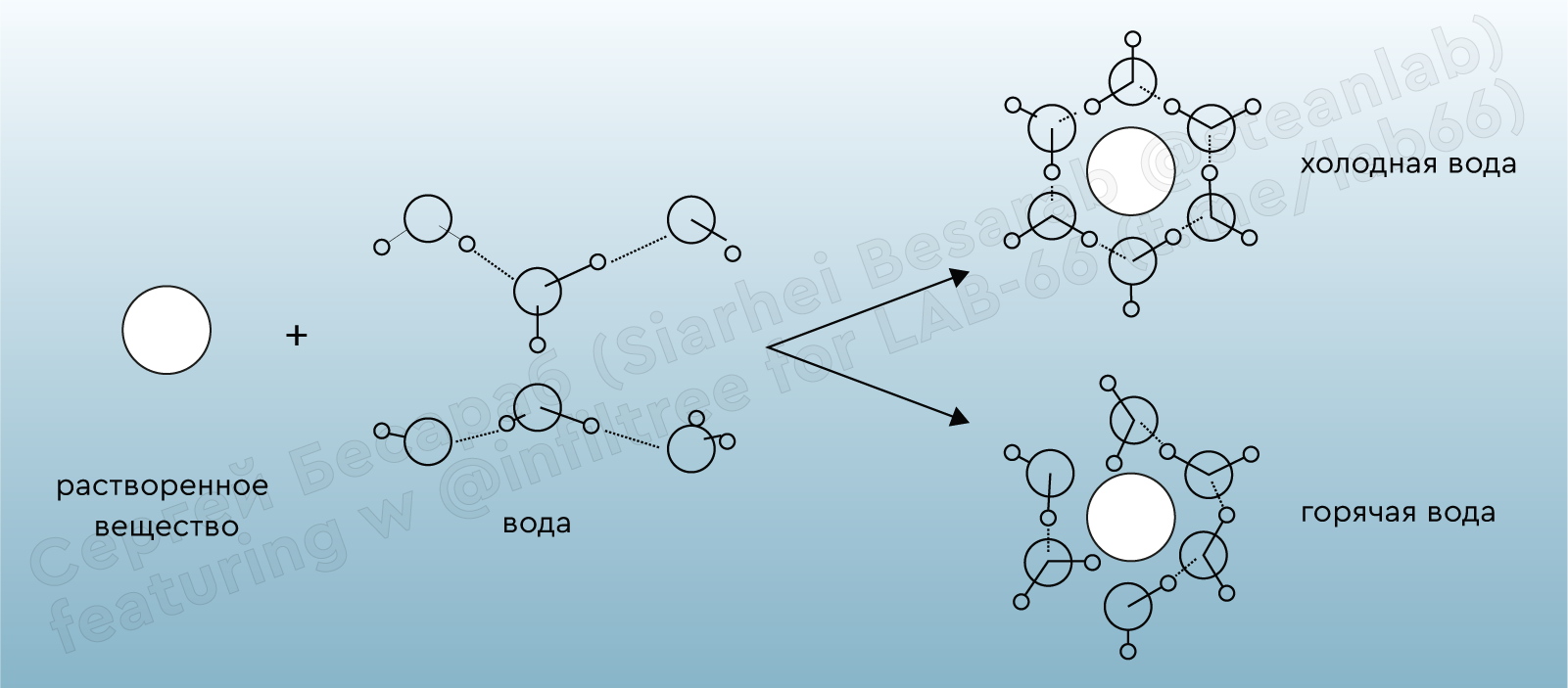 Гидратная оболочка белковой молекулы. Структурная схема молекулы воды. Схема гидратной оболочки белковой молекулы. Водные оболочки вокруг макромолекул.