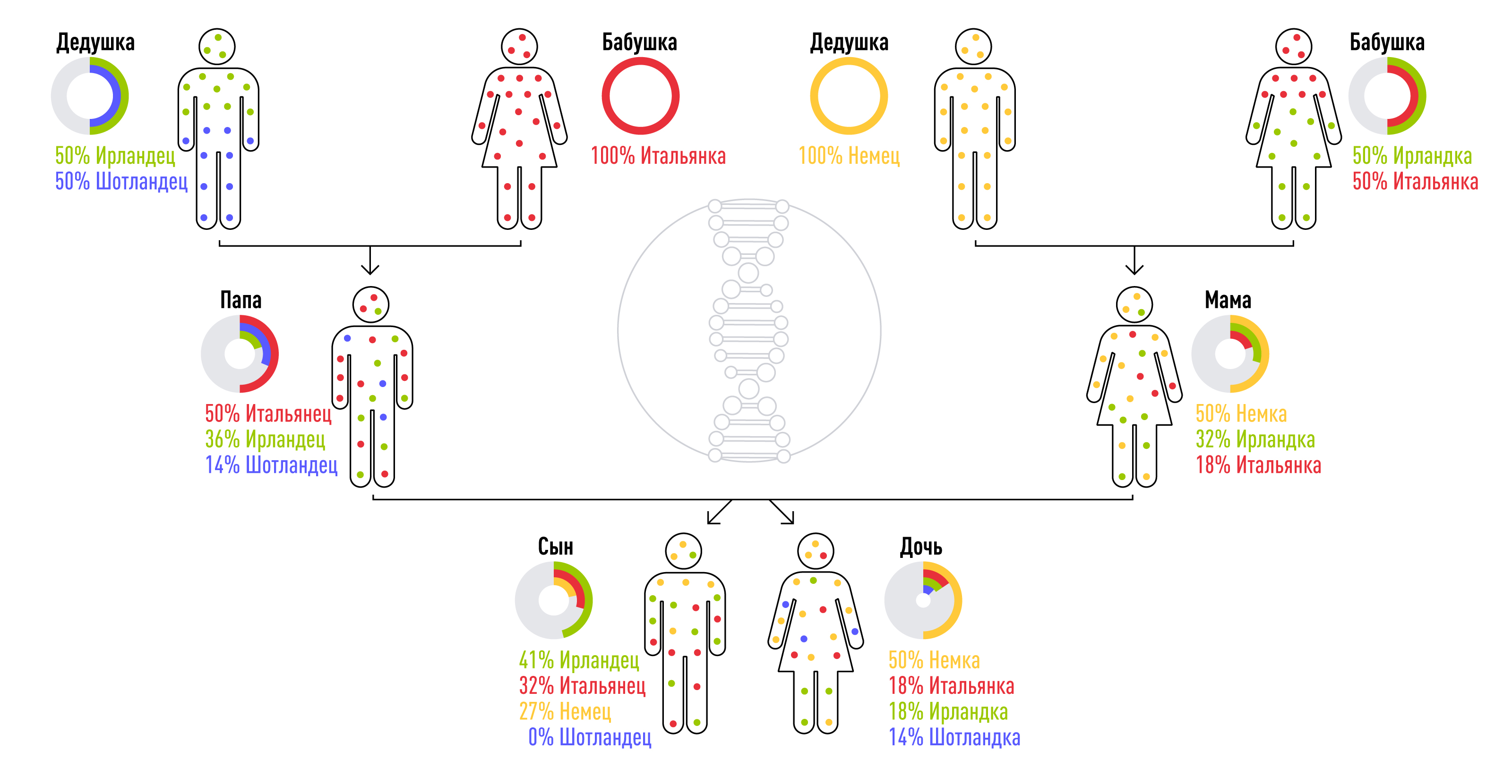Генетические различия людей. Генетическое различие народов. Генетическое происхождение. Генетические различия человека. Генетика разных народов.
