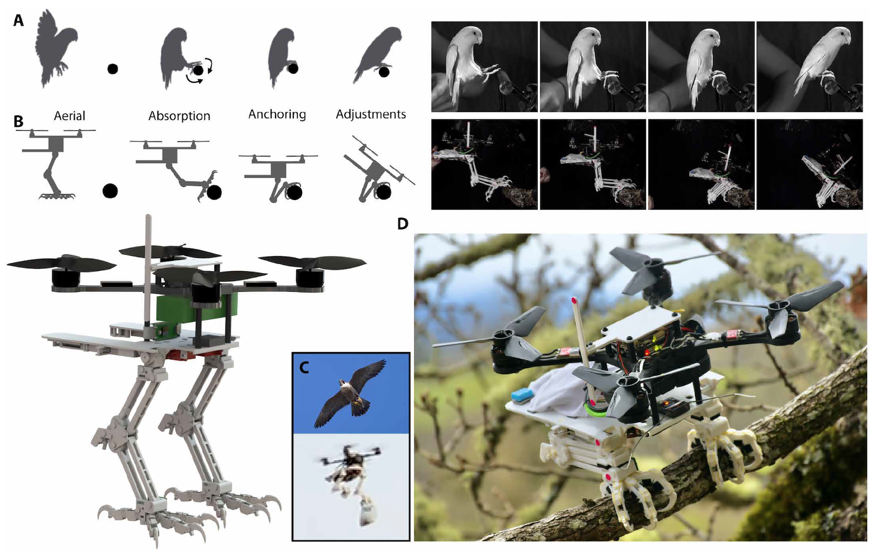 Робоптица Bionic Bird: Обзор игрушки, цена, возможности и где купить