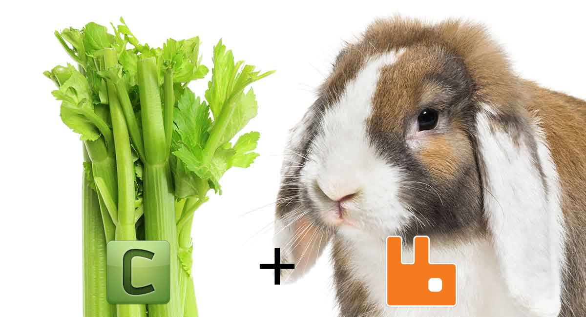 Celery+RabbitMQ