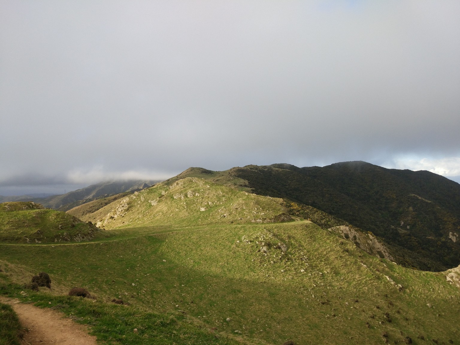 Вид с горы Kaukau на Makara