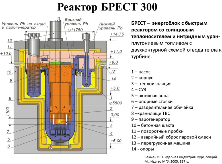 Ядерный реактор для чайников: замыкание топливного цикла в двухкомпонентной  ядерной энергетике / Хабр