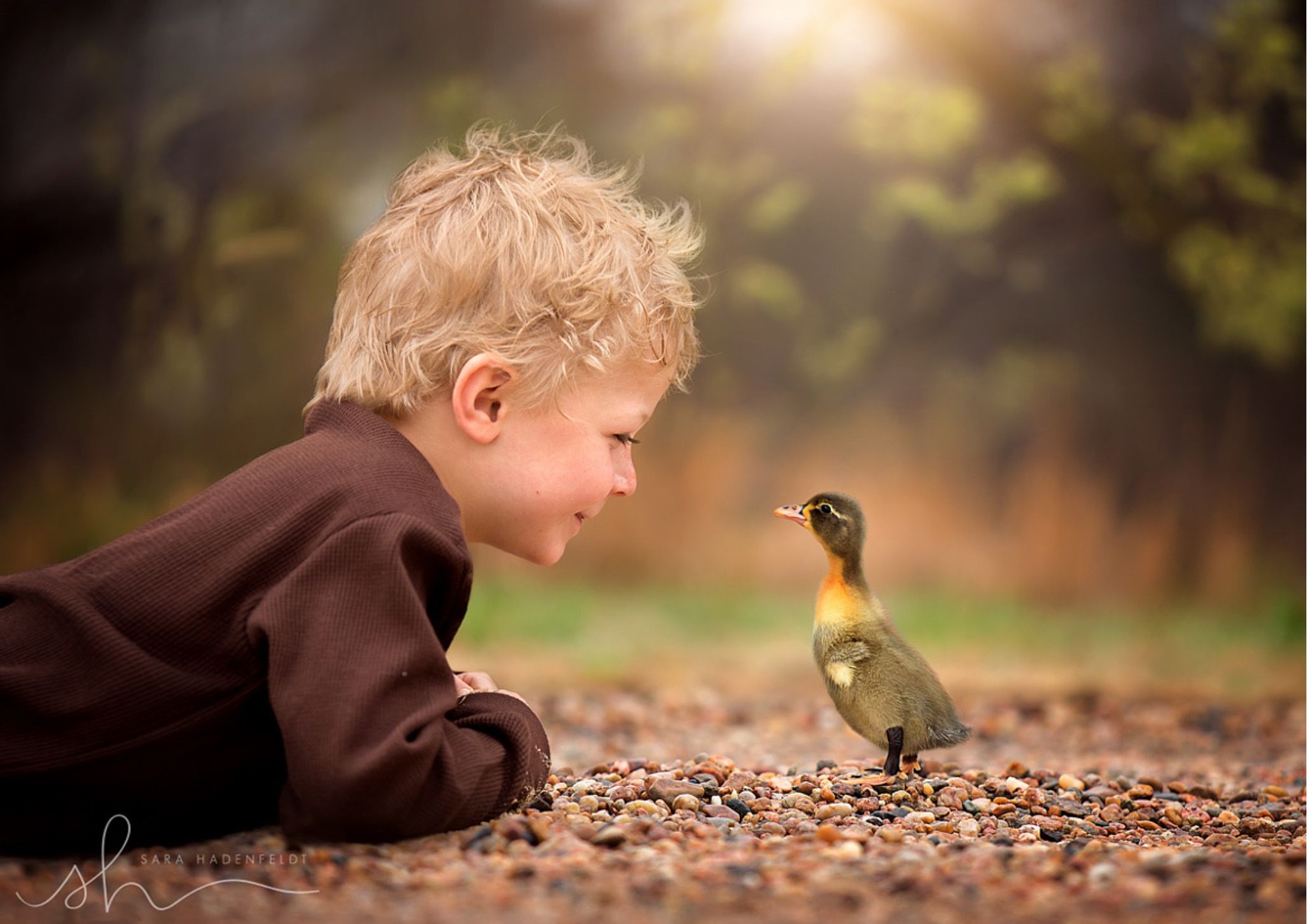 Мальчик и птица сколько. Доброта к природе. Человеческая доброта. Люди добрые. Доброта картинки.
