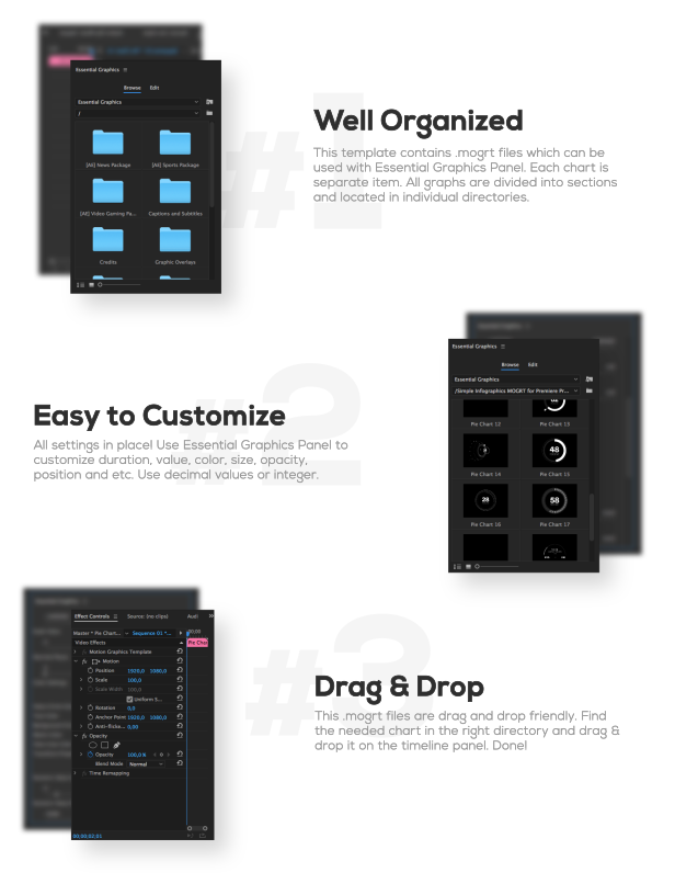 Simple Infographics I MOGRT for Premiere Pro - 1