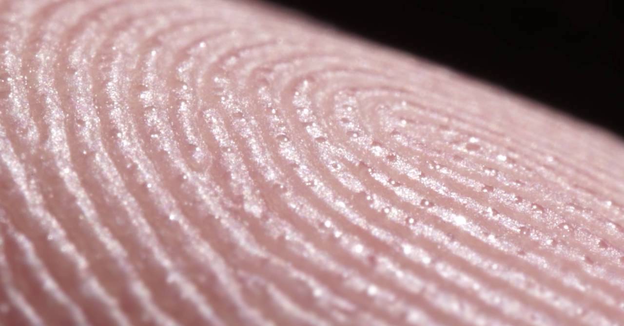 Ритм на кончиках пальцев: считывание сигналов кожи с помощью пота