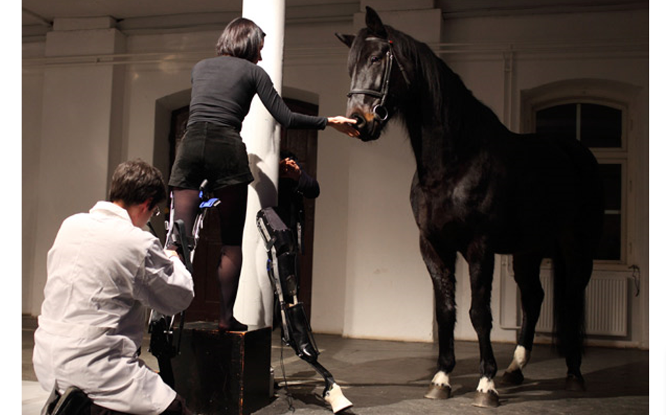 Несут меня кони содержание. Марион Лаваль-Жанте. «Да живёт во мне лошадь» (Марион Лаваль-Жанте). Как стать лошадью.